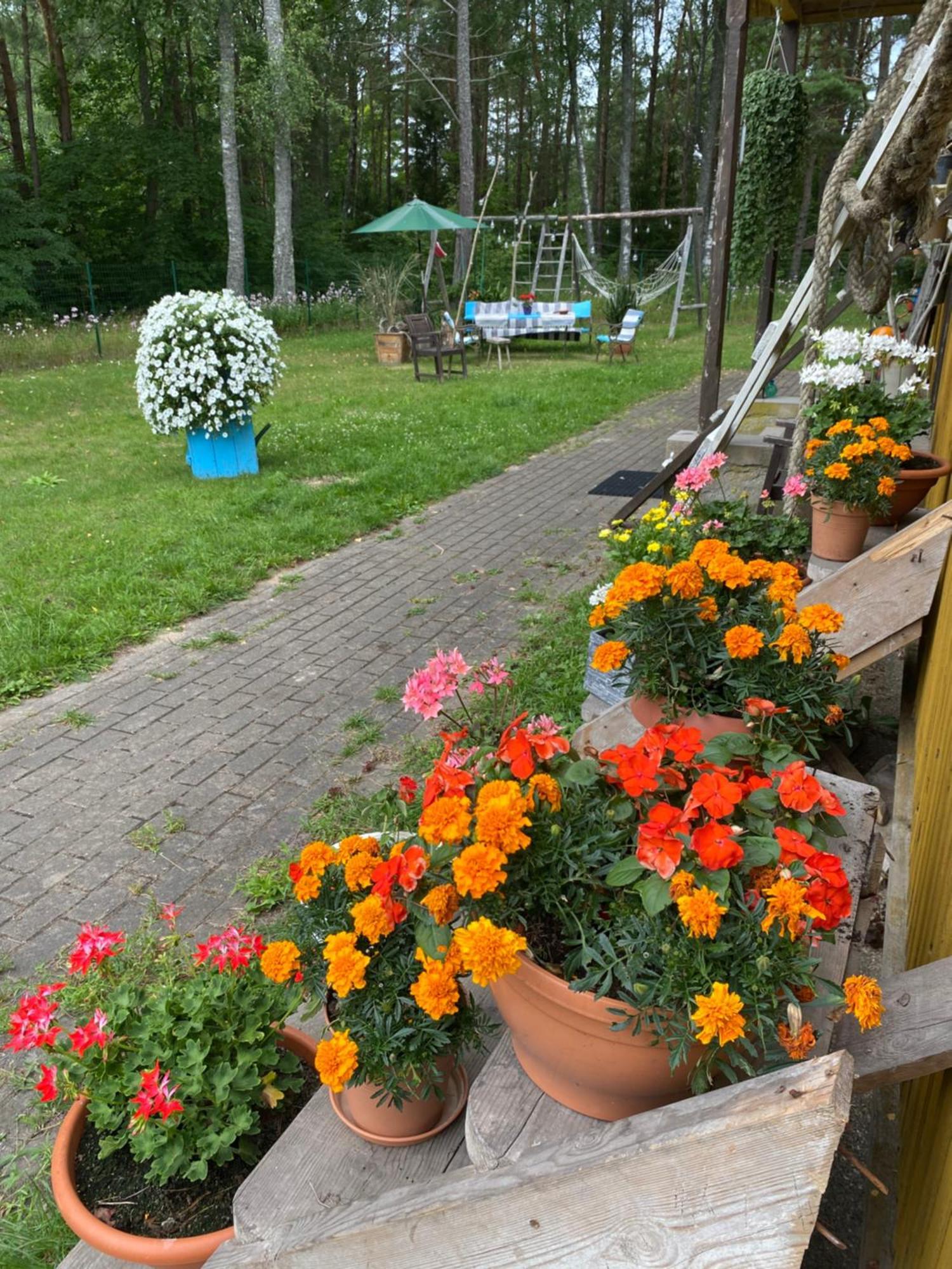 Torgu Royal Guesthouse Iide Buitenkant foto